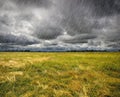 Heavy Rain over a prairie