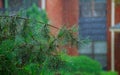 Heavy rain during a thunderstorm in heavy rainfall