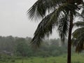 Heavy rainfall in Indian Countryside