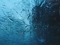 Heavy raining season cool tone blue chill