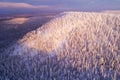 Heavy snow covered spruce trees in a cold winter wonderland on Konttainen fell, near Kuusamo, Northern Finland Royalty Free Stock Photo