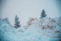 Heavy snow hills at the side of road. Winter wonderland