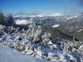 Heavy snow over sureanu mountains,romania