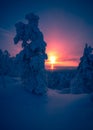 Heavy snow sunset view from Sotkamo, Finland. Royalty Free Stock Photo