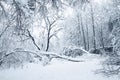 Heavy snowfall Royalty Free Stock Photo