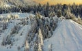 a heavy snowfall covered the mountain and the forests Royalty Free Stock Photo