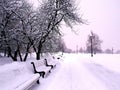 15.02.2021-17.02.2021. Heavy snowfall in Moscow. Park in Tsaritsyno