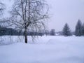 15.02.2021-17.02.2021. Heavy snowfall in Moscow. Park in Tsaritsyno