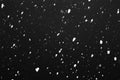 Heavy snowfall. Snow is falling against the sky. Snowflakes are flying. Royalty Free Stock Photo