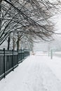 Heavy snowfall and snowstorm in Toronto, Ontario, Canada. Snow blizzard and bad weather winter conditions. Empty road street in Royalty Free Stock Photo