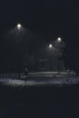 during heavy snowfall in winter, lanterns shine in the park. evening lighting