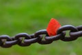 Heavy Steel or Iron Chain Fastened Into Rock Wall with Single Autumn Leaf Royalty Free Stock Photo