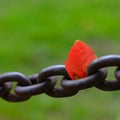 Heavy Steel or Iron Chain Fastened Into Rock Wall with Single Autumn Leaf Royalty Free Stock Photo