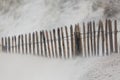 Storm day in the dunes of Bloemendaal aan Zee, Netherlands Royalty Free Stock Photo