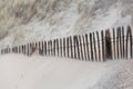 Storm day in the dunes of Bloemendaal aan Zee, Netherlands Royalty Free Stock Photo