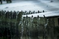 Heavy Storm made Hard Rain falling on the Roof Royalty Free Stock Photo