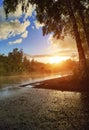 Heavy summer rain Royalty Free Stock Photo