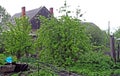 Heavy torrential rain in the countryside in late spring