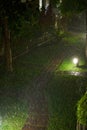 A heavy tropical downpour in the condo yard at night Royalty Free Stock Photo