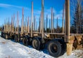 Heavy truck trailer for transporting whole trees in Canadian forest in Quebec Royalty Free Stock Photo