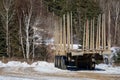 Heavy truck trailer for transporting whole trees in Canadian forest in Quebec Royalty Free Stock Photo