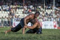 Heavy weight wrestlers competing at the Elmali Turkish Oil Wrestling Festival in Elmali, Turkey.