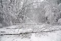 A Snow Covered Road with Fallen Trees. Winter Storm Damage. Royalty Free Stock Photo