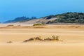 Heavy Wind Blowing Sand on Beach Against Coastal Skyline Royalty Free Stock Photo