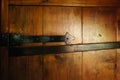 Heavy wooden door texture. Varnished with heavy bar hinges