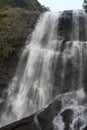 Water falls, Hebbe falls, Chikmagalur, karnataka
