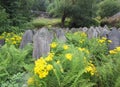 Hebden bridge, west gravestones overgrown with ferns and yellow flowers in hebden bridge at the disused cross lanes former