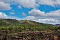 Heber Overgaard, Navajo County, Sitgreaves National Forest, Arizona, United States Royalty Free Stock Photo