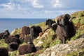 Hebridean sheep at Baggy Point Royalty Free Stock Photo