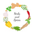 Hebs, spices - arugula, garlic, basil, thyme, turmeric root, dill. Cartoon flat style. Vector