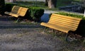 Hedge of boxwood and pine tree trunk by the road in the park with curved benches by the pond. wood paneled entice you to sit down.