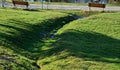 Hedge of boxwood and pine tree trunk by the road in the park with curved benches by the pond. wood paneled entice you to sit down.