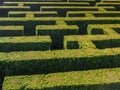 Hedge formed maze Royalty Free Stock Photo