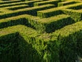 Hedge formed maze Royalty Free Stock Photo