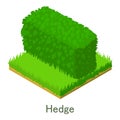 Hedge icon, isometric style.