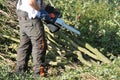 Hedge Laying. Royalty Free Stock Photo