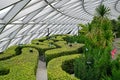 Jewel Changi Airport Hedge Maze