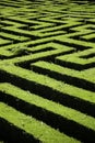 Hedge maze garden