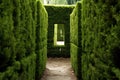 a hedge maze with no visible exit Royalty Free Stock Photo