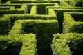 a hedge maze with no visible exit Royalty Free Stock Photo