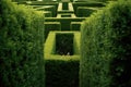 a hedge maze with no visible exit Royalty Free Stock Photo