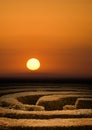 Hedge maze sunset