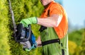 Hedge Trimmer Garden Work Royalty Free Stock Photo