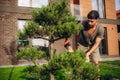 Hedge Trimming Job. Caucasian Gardener with Gasoline Hedge Trimmer Shaping Wall of Thujas in a Garden. Royalty Free Stock Photo