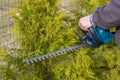 Hedge trimming, works in a garden.