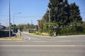 Hedge with wisteria growing on it by a crossing in a country road